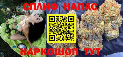 прущие грибы Беслан