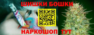 хмурый Бийск