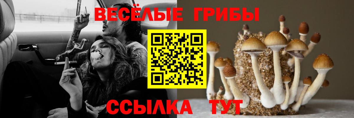 Галлюциногенные грибы Magic Shrooms  Вход с VPN  Кингисепп 